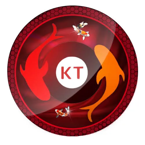 koitoto APK QiuQiu